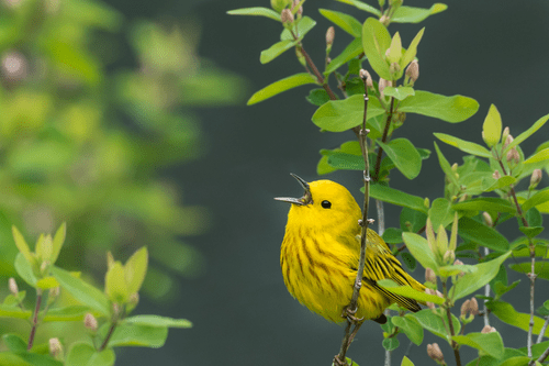 nature and sustainability 1