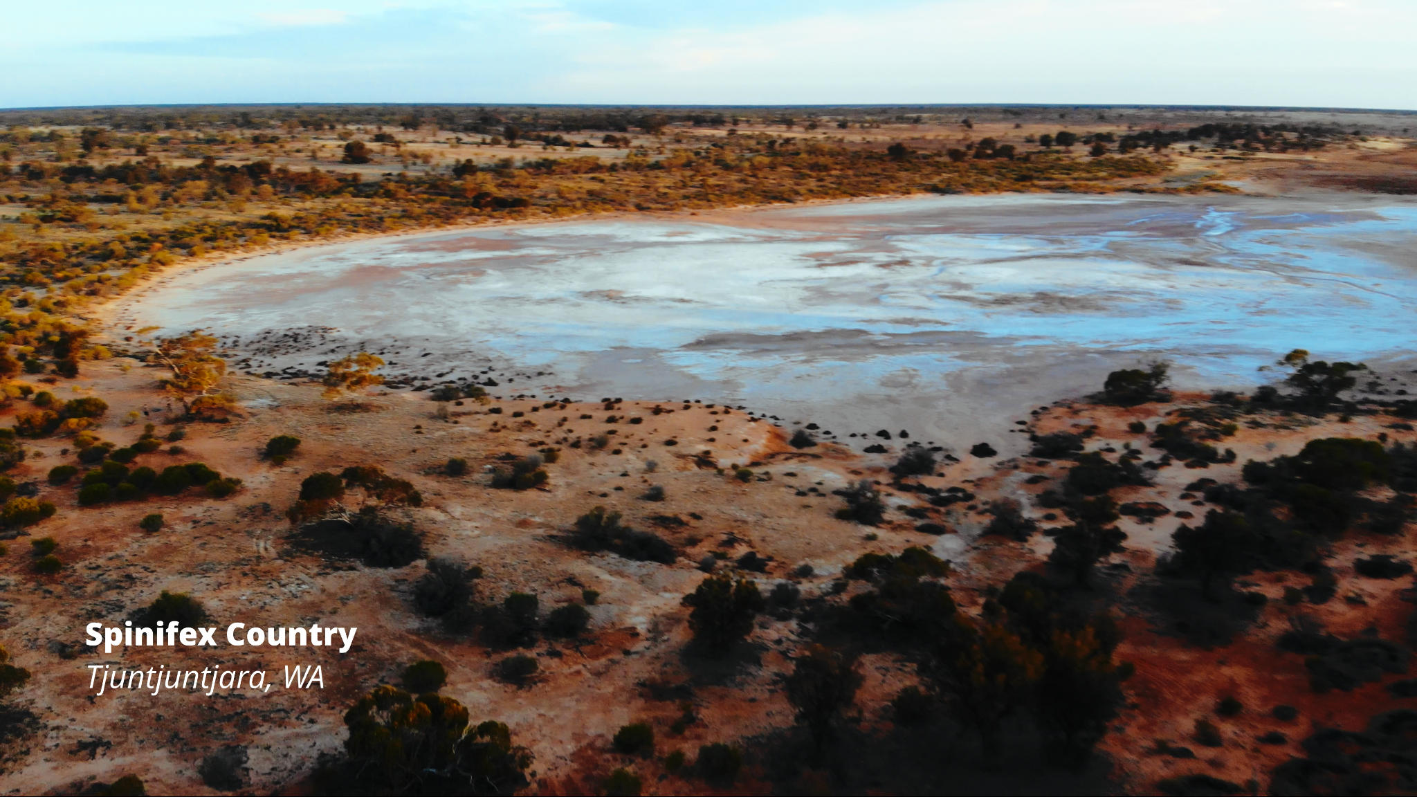 Spinifex Country