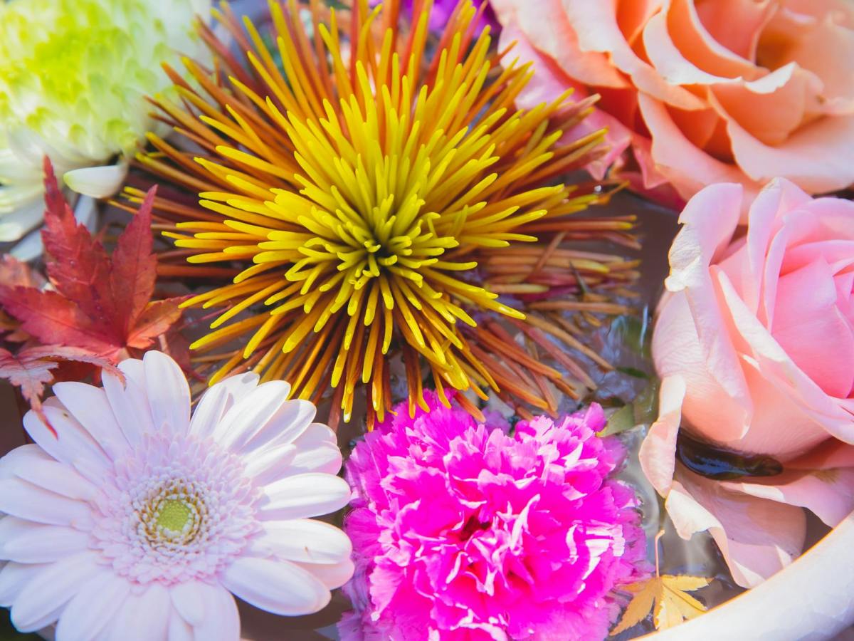 Honoring the Heart of the Home: A Tribute to Mothers and Mother&nbsp;Figures