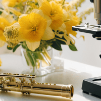 The Science of Music: How Music Affects Mood and&nbsp;Well-Being