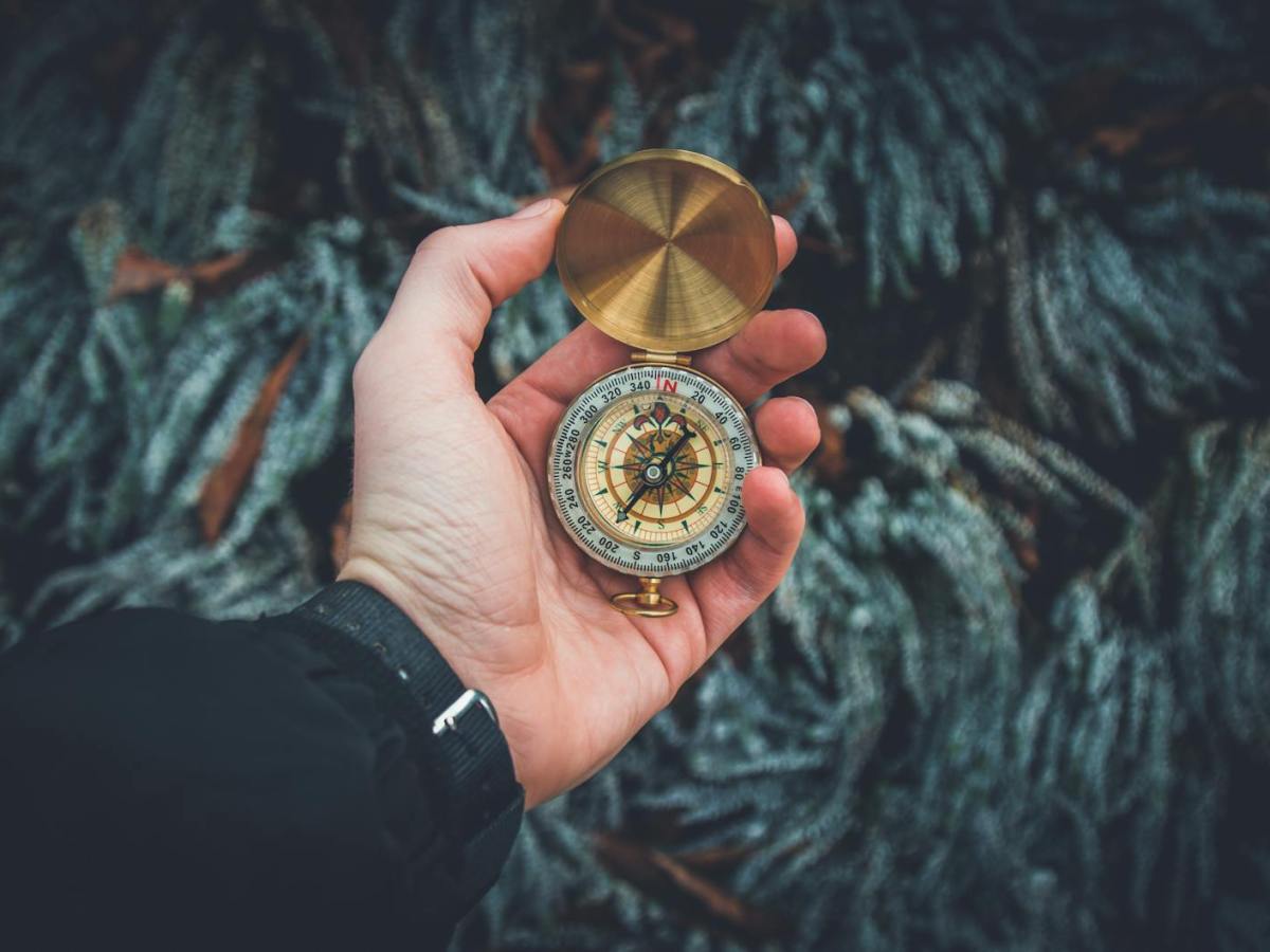 Lost and Found: The Strangest Items Ever Left in Transit (and the Stories Behind&nbsp;Them)