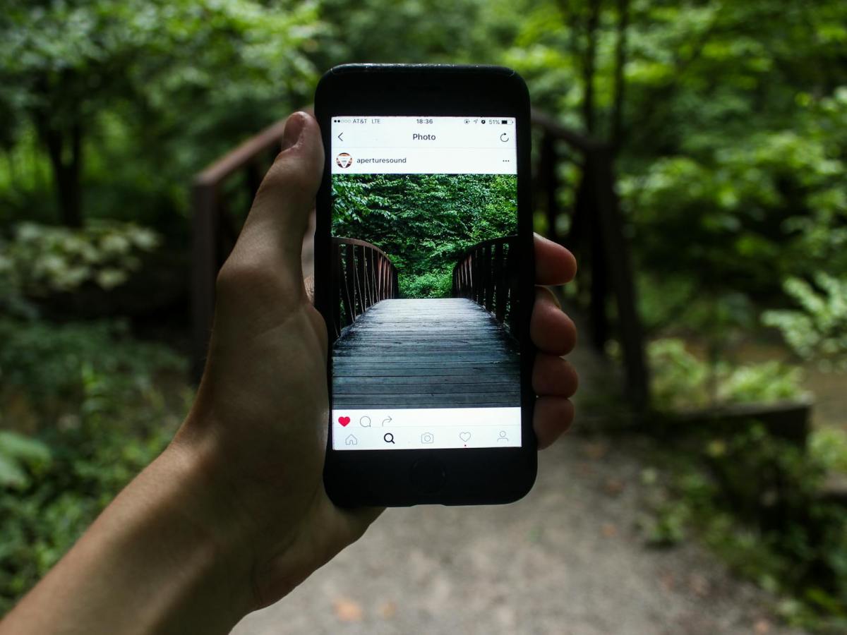 Vivid Award Highlights Instagram Storytelling&nbsp;Excellence