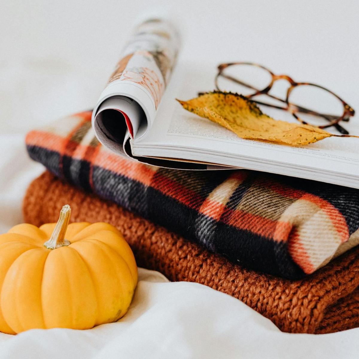 Panorama Award Winners: Standout Storytelling in&nbsp;Magazines