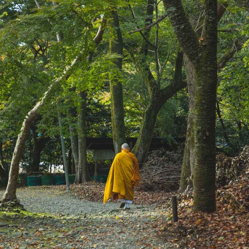 Legacy Award Winner: Storytelling That Preserves and Celebrates Cultural&nbsp;Heritage