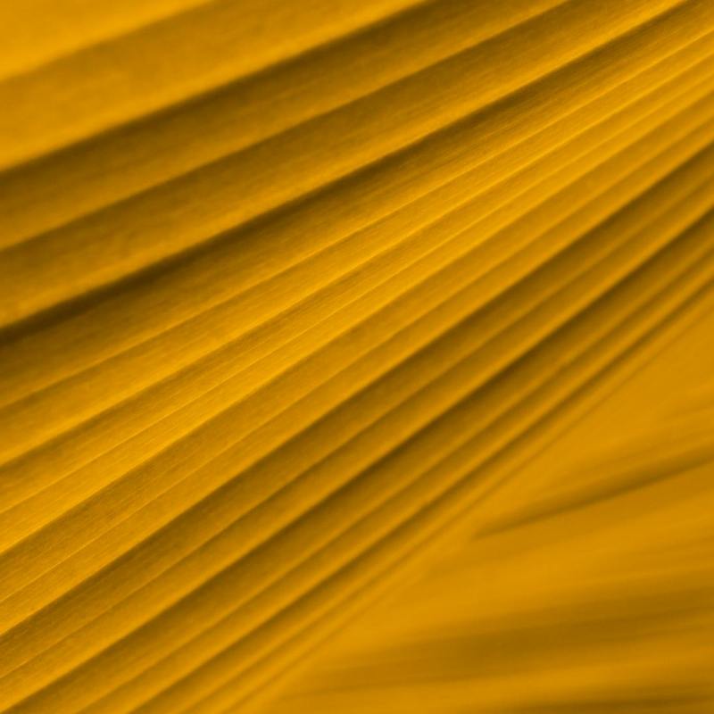 The Deal by Nazia Kamali (Short&nbsp;Fiction)